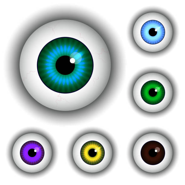 istock Set of pupil of the eye, eye ball, iris eye. 635993566