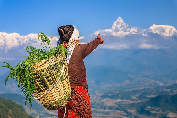 непальская женщина, указывающая на мачапучаре, покхара, непал - annapurna range стоковые фото и изображения
