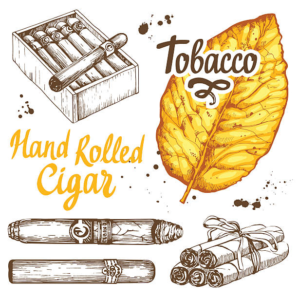 illustrazioni stock, clip art, cartoni animati e icone di tendenza di illustrazione vettoriale con set di fumo classico. mazzo di tabacco e - cuban ethnicity illustrations