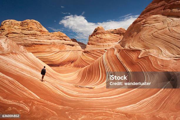 Lone Hiker At Arizonas Wave Stock Photo - Download Image Now - USA, Travel, Awe