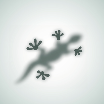 Diffuse Reptile Silhouette Shadow Abstract Vector Image. Lizard Gecko or Chameleon Sitting on a Matte Glass. Isolated.
