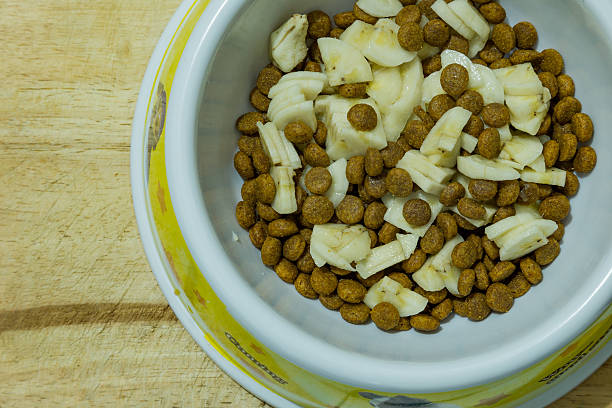 Cerial dog food Dog food mixed with banana and milk in a bowl on wooden background cerial stock pictures, royalty-free photos & images