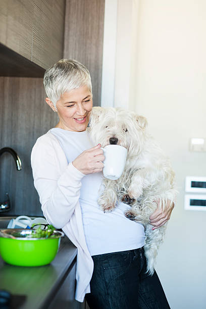 istock Mature woman holding dog at home 636006830