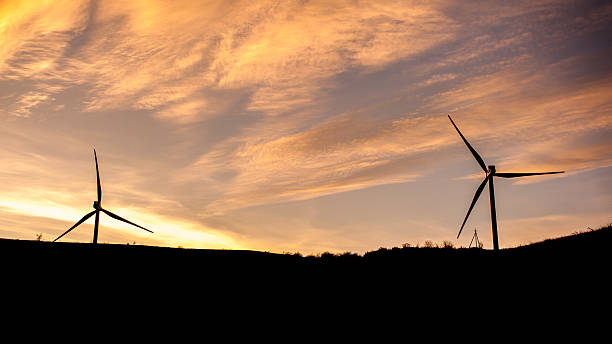 istock Wind turbine power generator farm at sunset, Georgia 636011212
