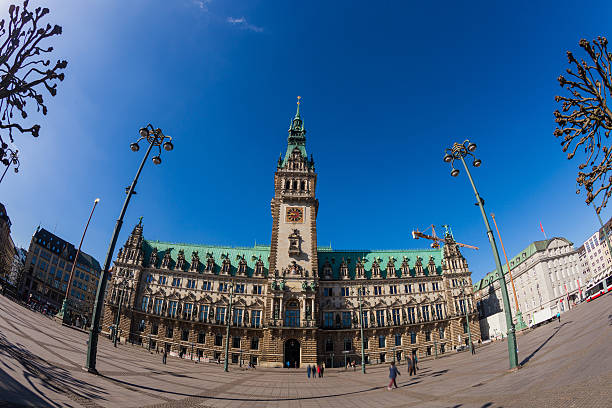istock Hamburg city hall, Germany 636011902