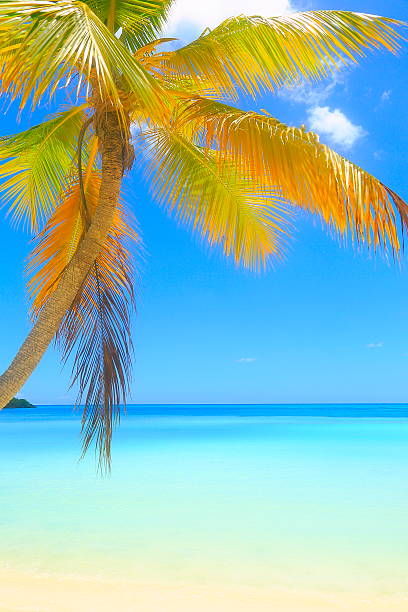 Nobody on the beauty beach with turquoise water