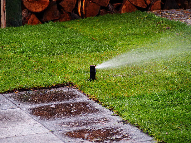 istock Garden irrigation system watering lawn. 636014626