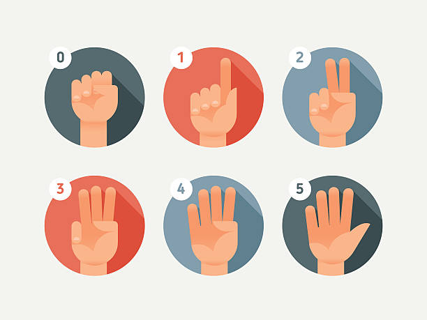 ilustrações de stock, clip art, desenhos animados e ícones de hand count. flat finger and number - counting