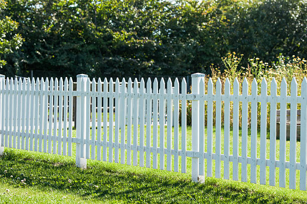 istock White picket fence in a garden 636015726