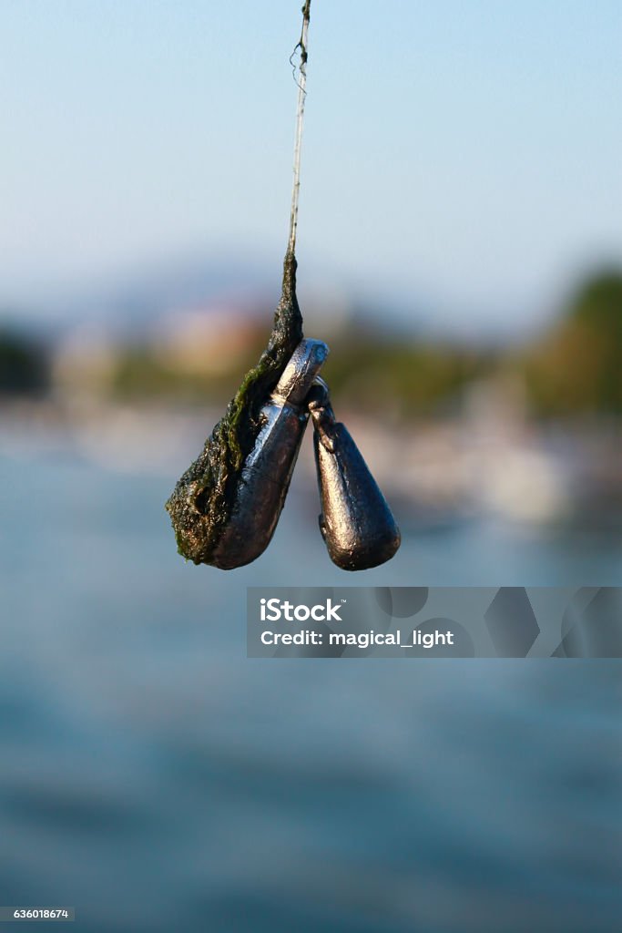 Surf Fishing Hooks And Lines Along With Bait Stock Photo - Download Image  Now - Coastline, Cutting, Fish - iStock