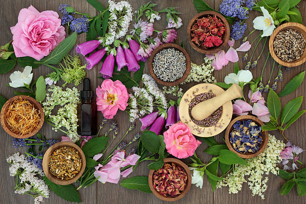istock Naturopathic Flowers and Herbs 636019834