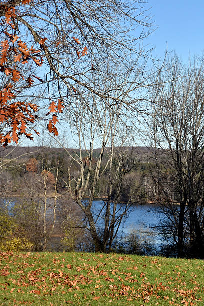 istock Colorful late autumn lakeside scene 636019872