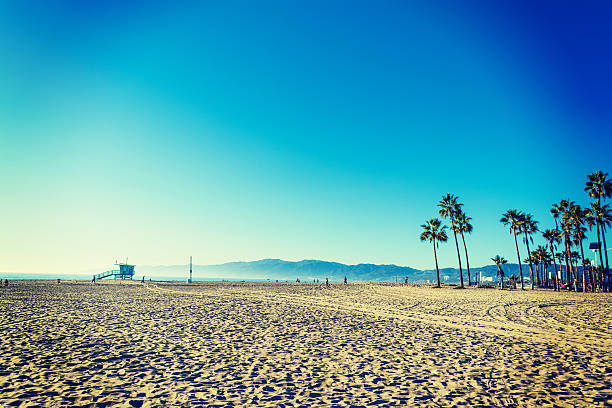 istock Santa Monica shore at sunset 636020462