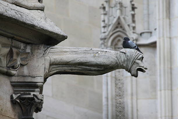 нотр-дам париж гаргульи - gargoyle notre dame paris france architecture стоковые фото и изображения