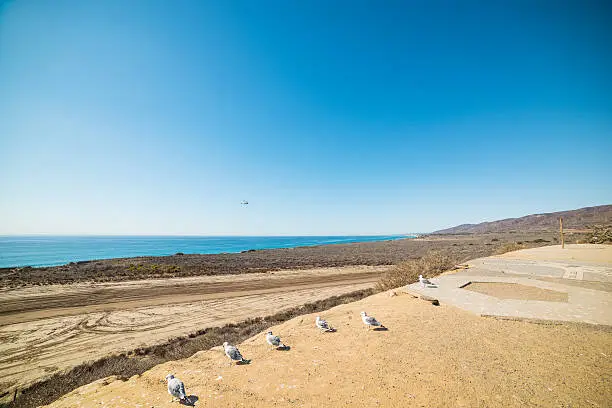 Photo of seagulls in Oceanside coastline