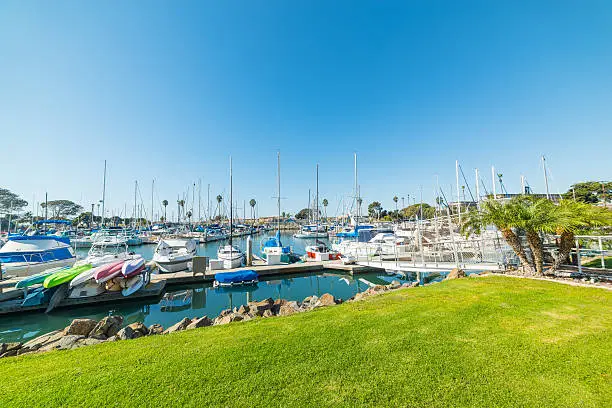 Photo of Boats in Oceanside harbor