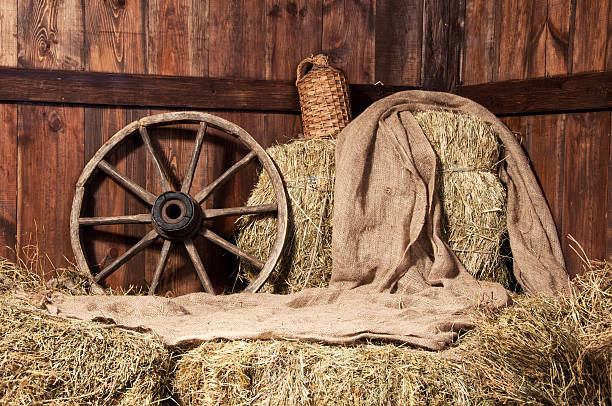 istock Still in cowboy style on wooden boards. 636028490