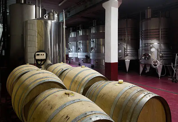 Photo of wine cellar with  wooden and stell barrels