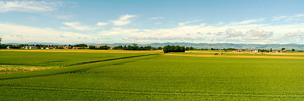 Agricultural Land in France Agricultural Land in France. house landscaped beauty in nature horizon over land stock pictures, royalty-free photos & images