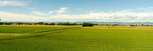 terra agrícola na frança - house landscaped beauty in nature horizon over land - fotografias e filmes do acervo