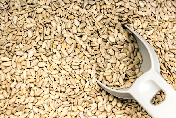 Organic peeled sunflower seeds for sale from abobe