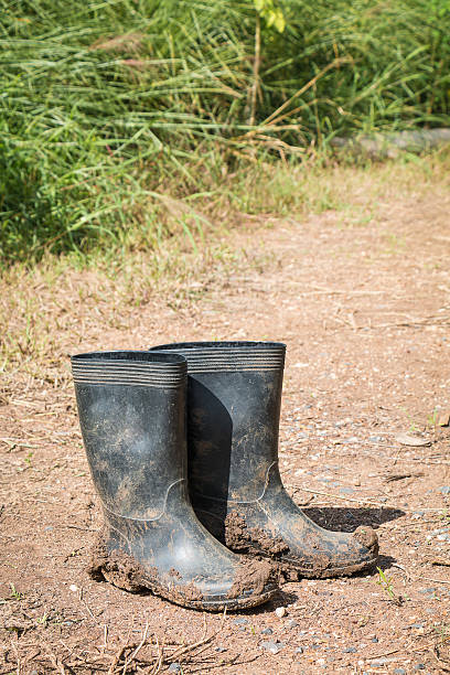istock Dirty rubber boots in farm. 636040094