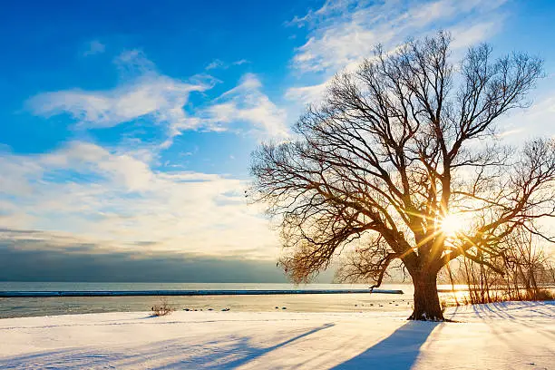 Photo of Sunset at the Shores of Lake Ontario during Winter