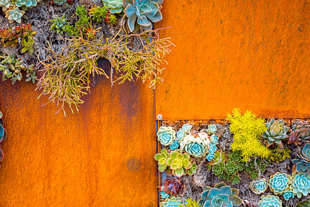 istock Flowers plant on a roasted metal wall 636040836