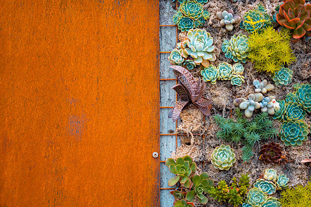 istock Flowers plant on a roasted metal wall 636040916