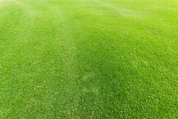 istock Panorama view of beautiful summer park 636040926