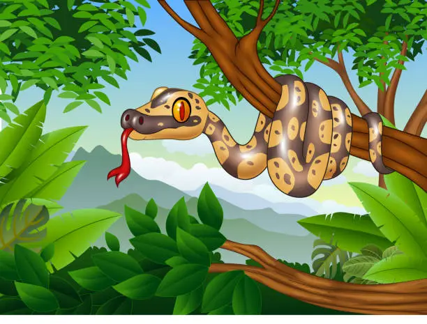 Vector illustration of Cartoon Royal Python snake creeping on a branch