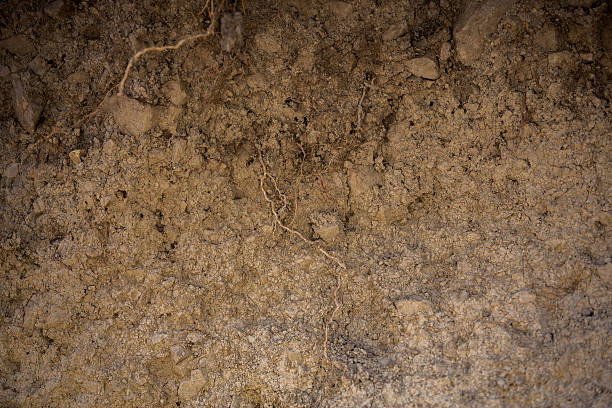 istock Texture of ground 636041390