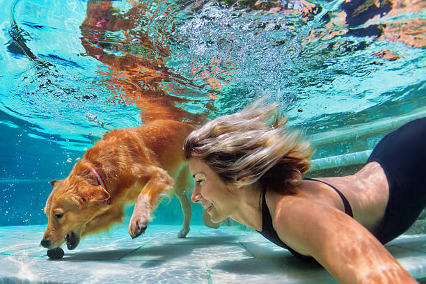 lustiger porträt von smiley frau mit hund im schwimmbad - action dog outdoors animal trainer stock-fotos und bilder