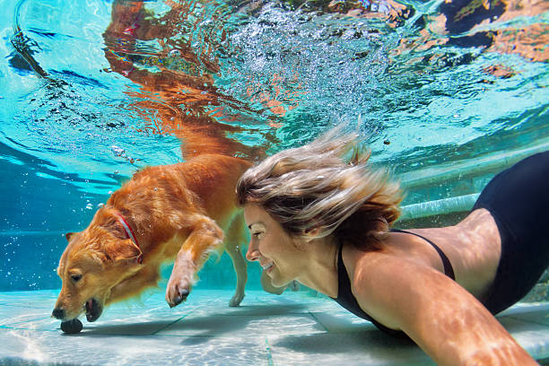 engraçado retrato de smiley mulher com cachorro na piscina - underwater dog adult happiness - fotografias e filmes do acervo