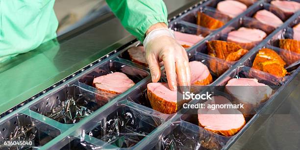 Raw Meat Production Stock Photo - Download Image Now - Meat, Factory, Food Processing Plant