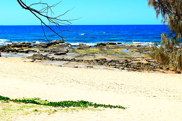 Mooloolaba Beach Rocks 400+ Mooloolaba Beach Stock Photos, Pictures & Royalty-Free Images - iStock