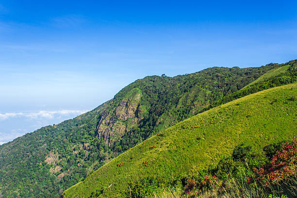 istock Mountains aerial view from Doi Inthanon viewpoint 636045646