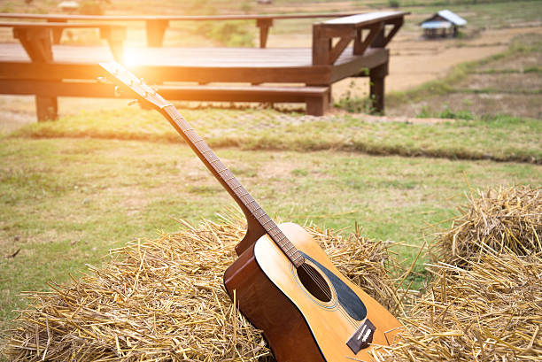 istock Classic guitar lying in front of the nature as background 636048604