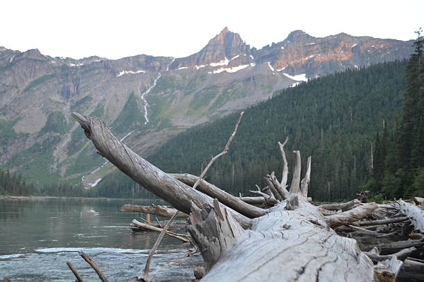 istock Avalanche Lake, Glacier National Park 636049540
