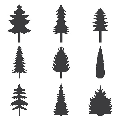 Set of abstract stylized balack trees silhouette. Vector illustration.