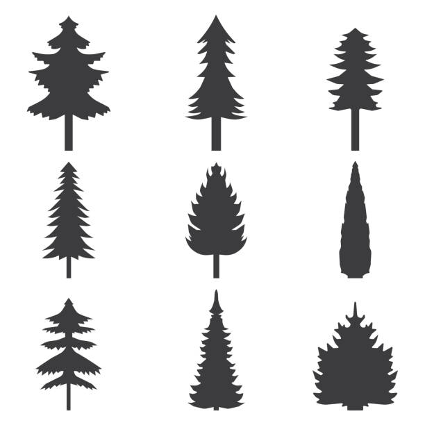 Set of abstract stylized balack trees silhouette. Vector illustration Set of abstract stylized balack trees silhouette. Vector illustration. simple tree silhouette stock illustrations