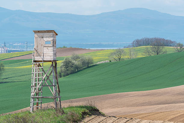 istock Hunting pulpit close to the city 636056154