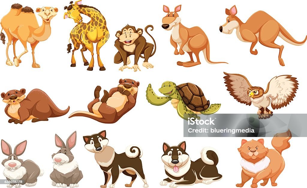 Set Of Different Types Of Animals Stock Illustration - Download Image Now -  Otter, Animal, Animal Wildlife - iStock