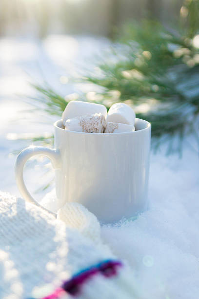 istock Cup of coffee with marshmallow in snow 636065232