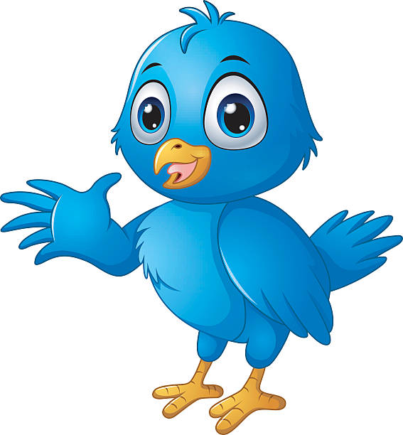 1,500+ Bright Blue Bird Stock Photos, Pictures & Royalty-Free
