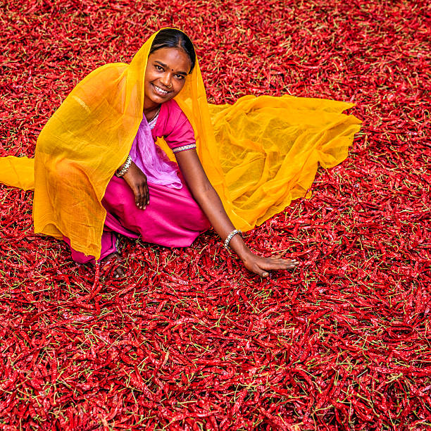 istock Young Indian woman sorting red chilli peppers, Jodhpur, India 636066426