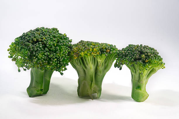 istock Green Brocolli on White Background 636066586