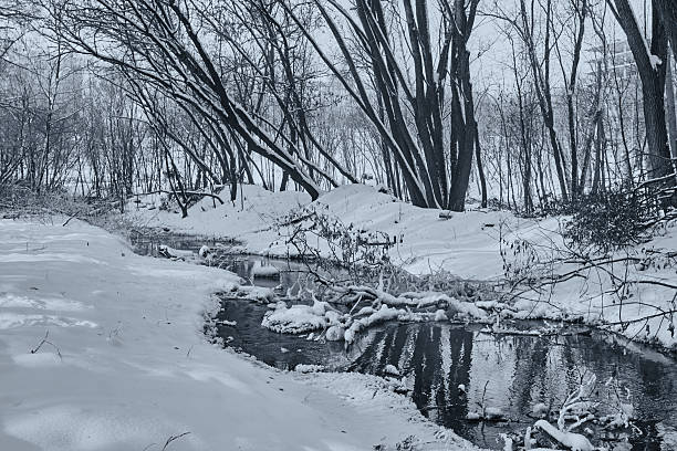 istock Winter. Landscape with snow and creek 636068614