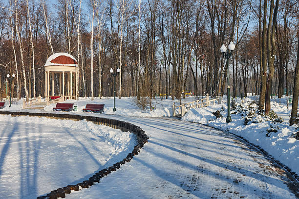 istock Frozen lake in winter park on a sunny day 636069170