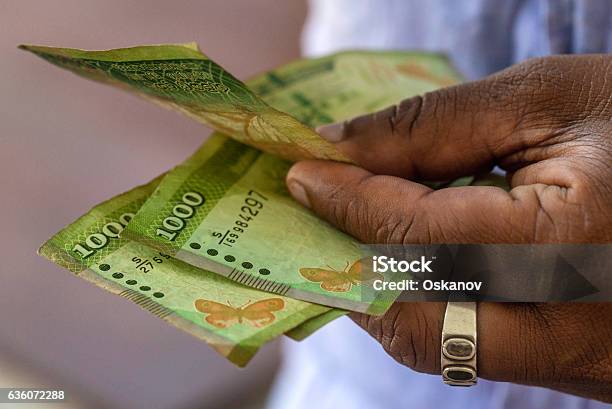 Hands Counting Srilankan Rupies Stock Photo - Download Image Now - Adult, Bankruptcy, Business